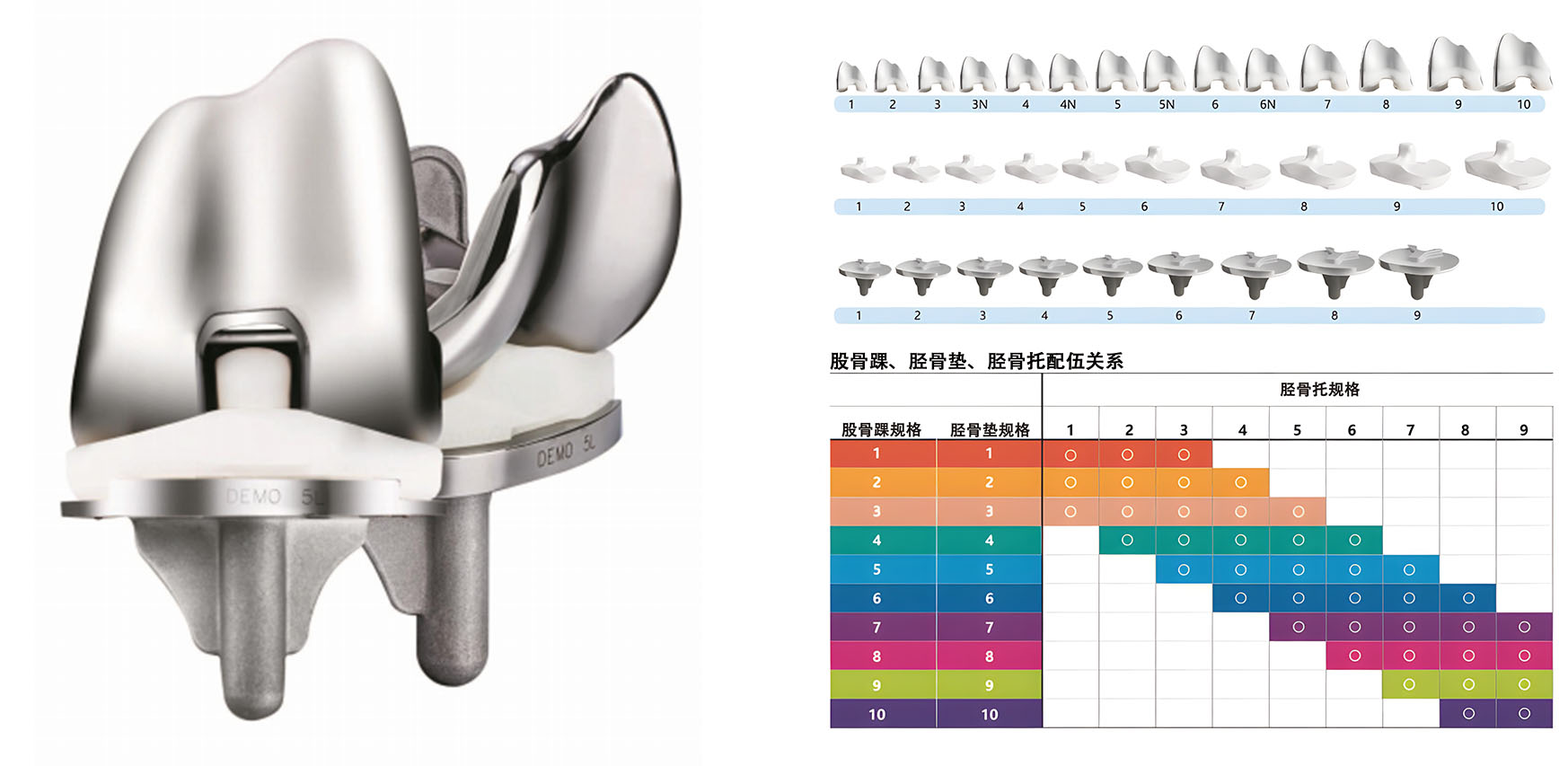 czmeditech-prothèse-de-genou-implant.