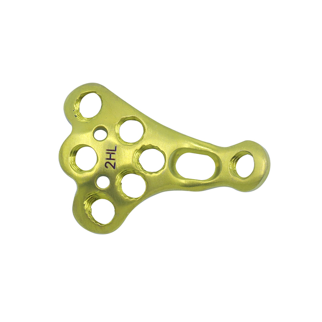 Rayon proximal Plaque de verrouillage III