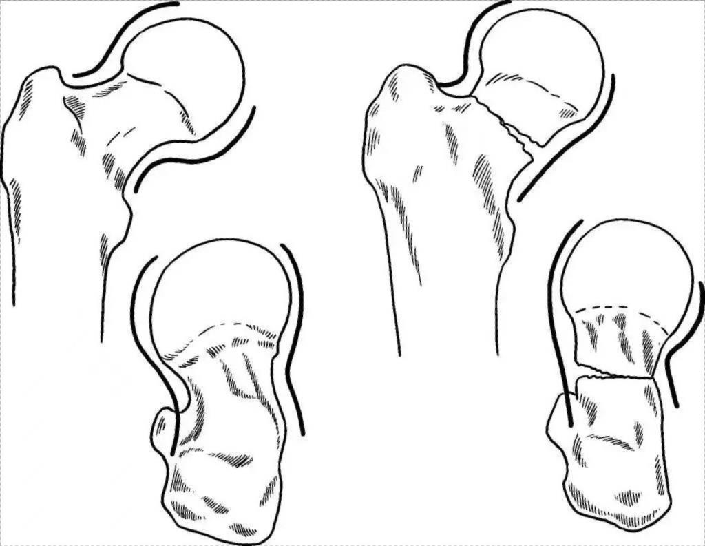 微信图片_20221208095148