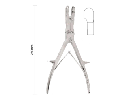 Double rongeur articulaire (épineux)