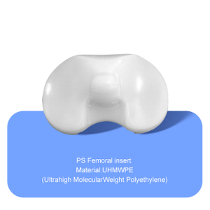 PS INSERT FEMORAL