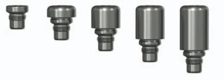 capuchon de clou intram&eacute;dullaire