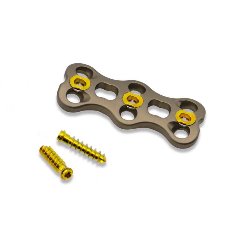 Plaque cervicale ant&eacute;rieure