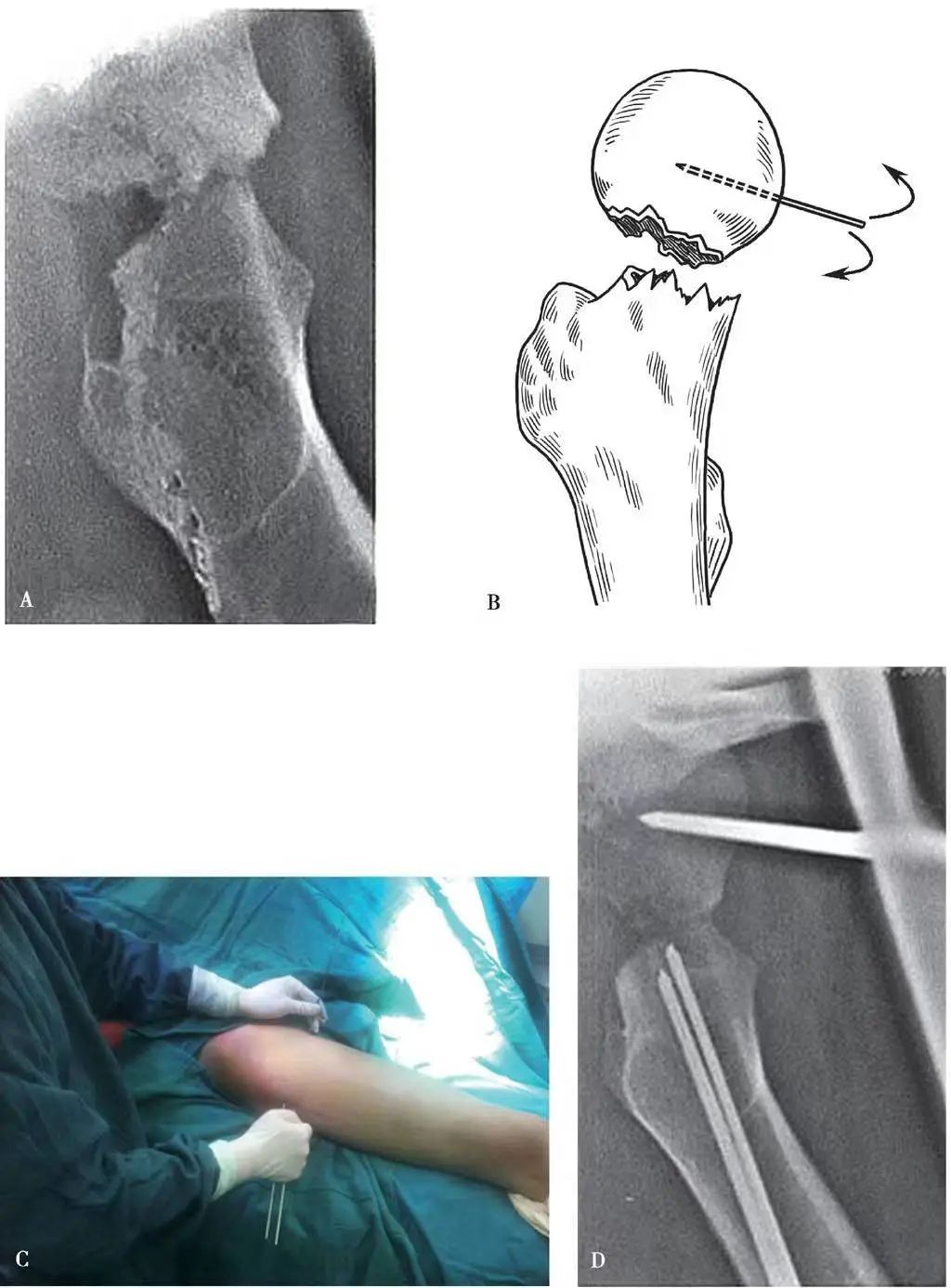 微信图片_20221208094933