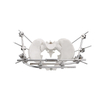 Fixateur pelvien