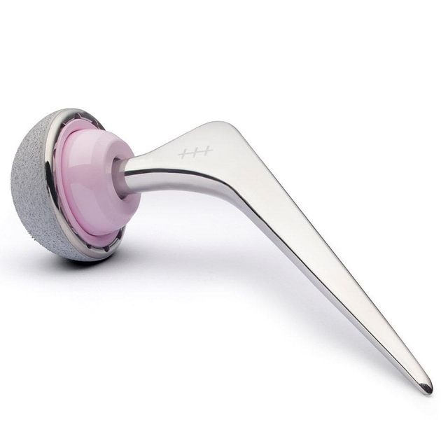 Système semi-hanche cimenté