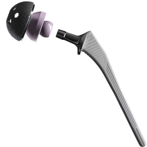 Système de hanche totale primaire sans ciment