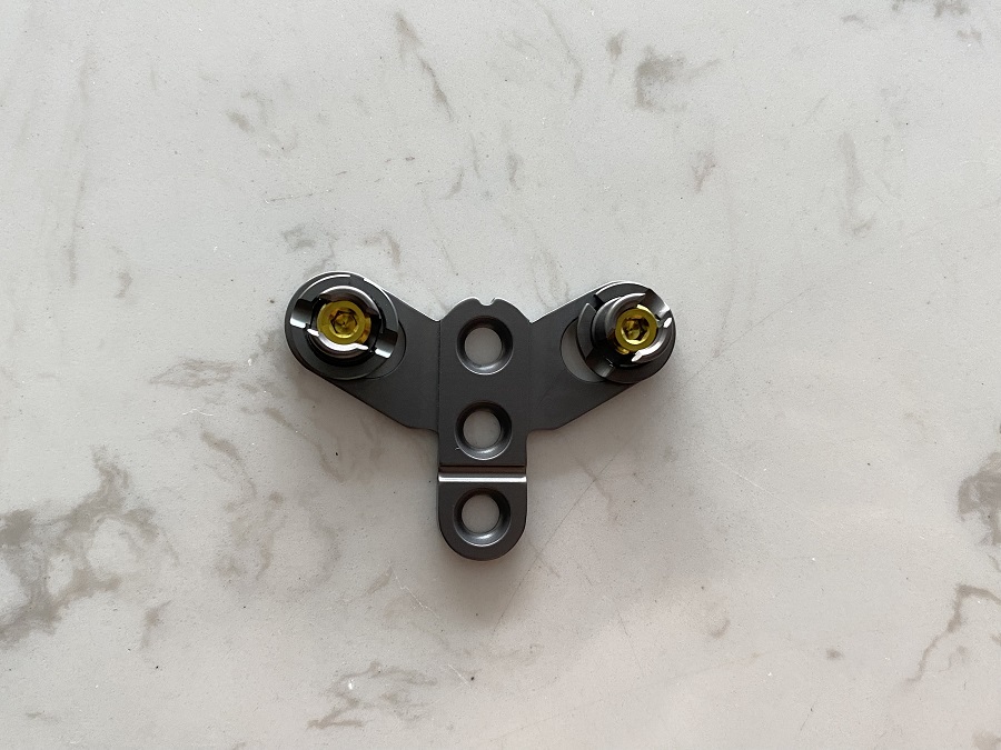 Plaque cervicale post&eacute;rieure