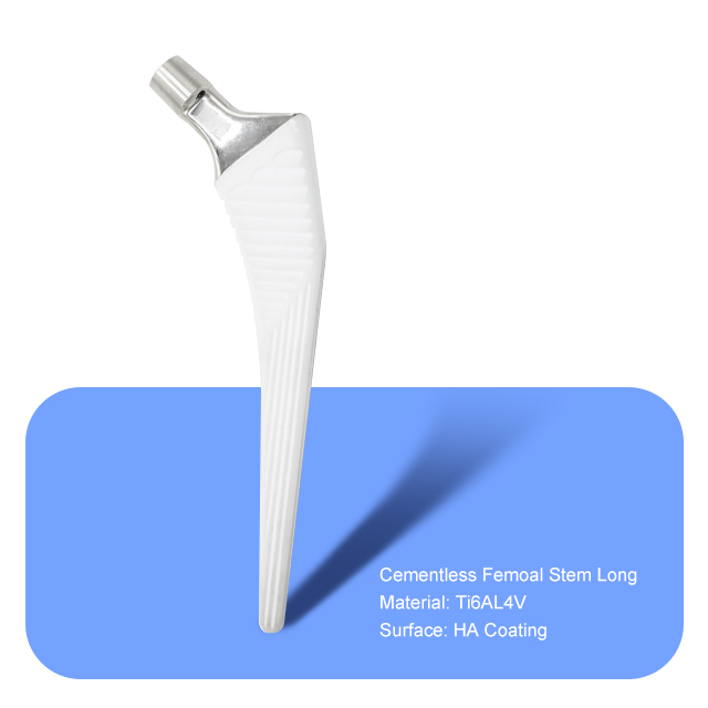 Tide féminine sans ciment longue （Ha revêtement）