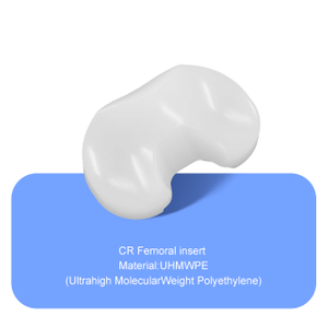 CR Femoral Insert