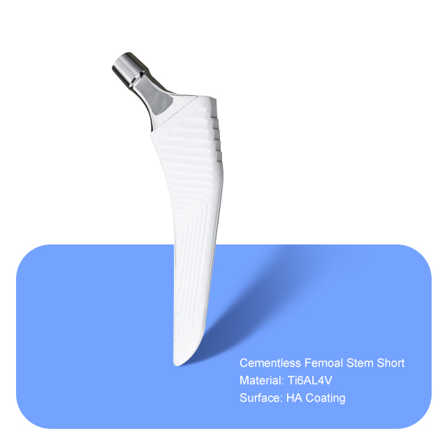 STEME FEMOALE SANS CIMÉS