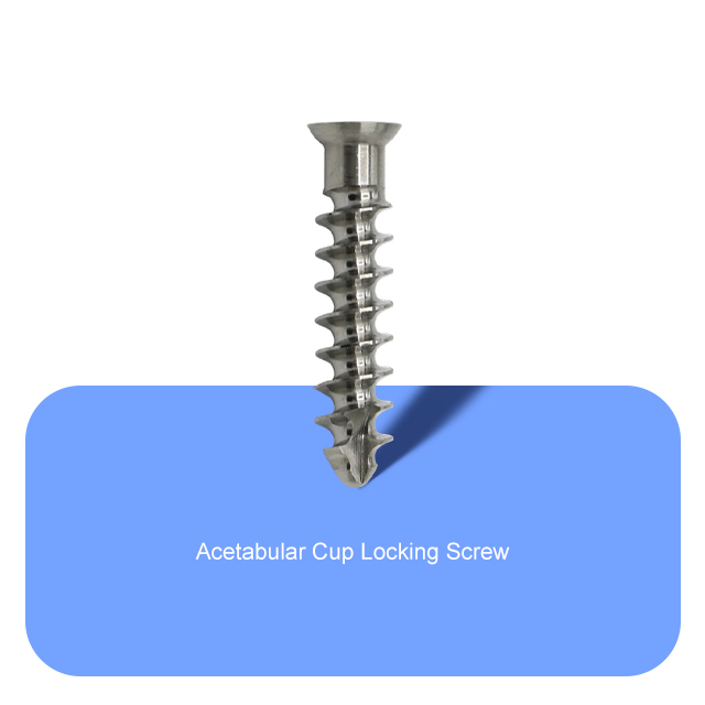 Vis de verrouillage à tasse acétabulaire