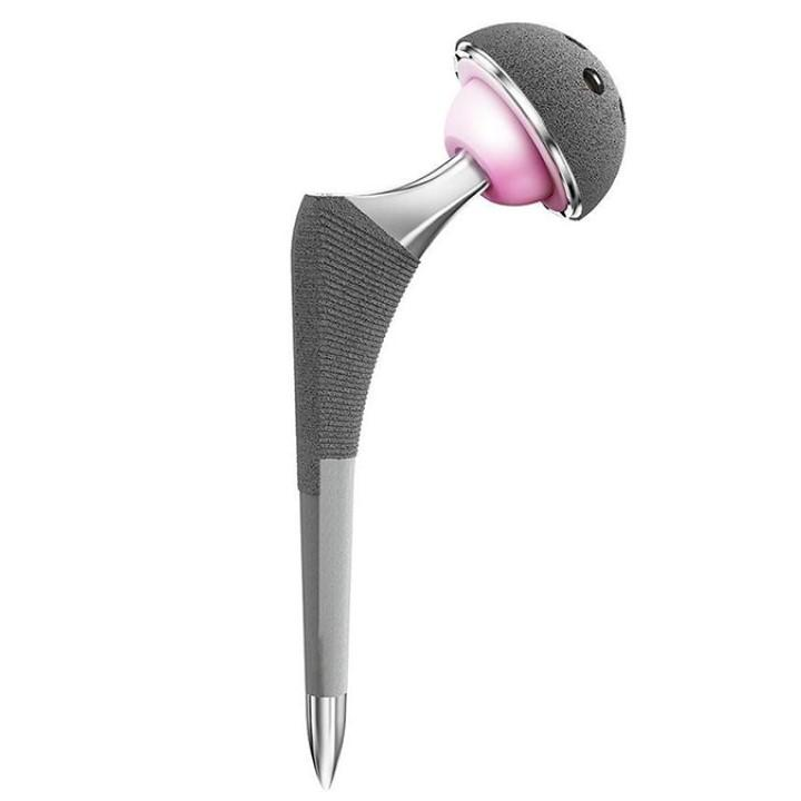 Système semi-hanche sans ciment