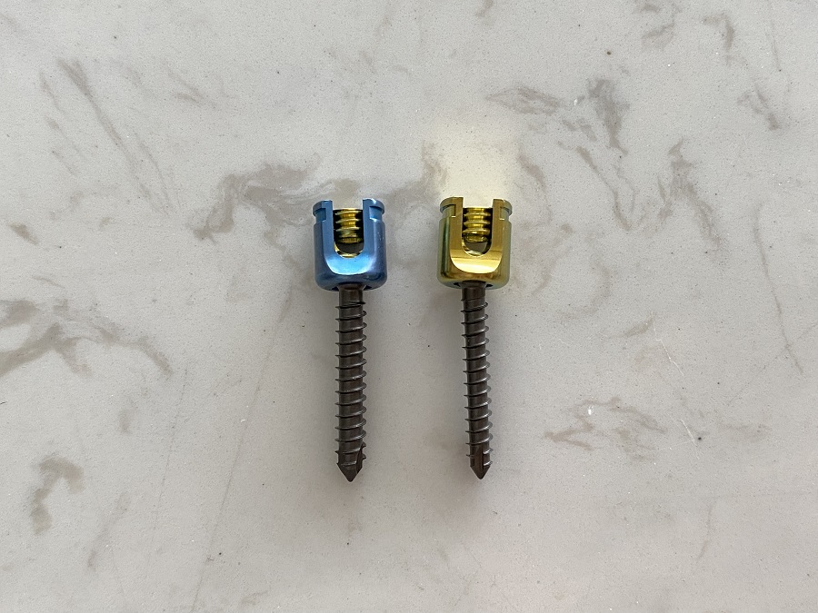 Vis cervicale post&eacute;rieure