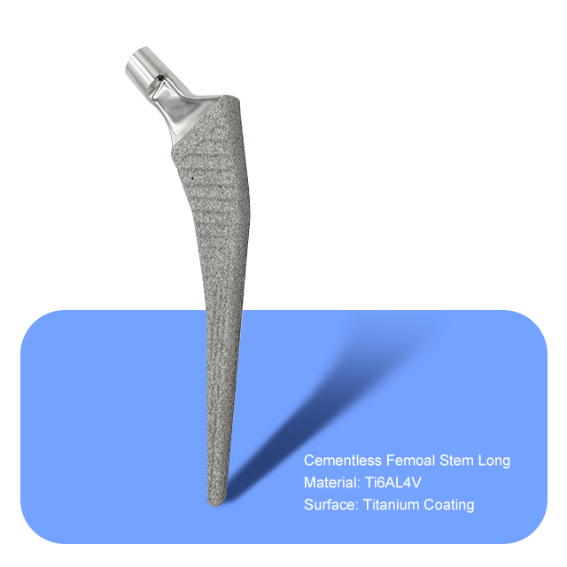 Tige féminine sans ciment longue （revêtement en titane）