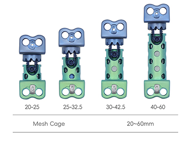 chirurgie vert&eacute;brale Cage-5
