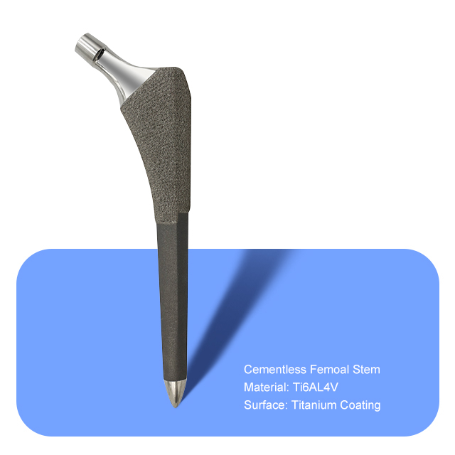 STEME FEMOALE SANS CIGLE （Titane revêtement）