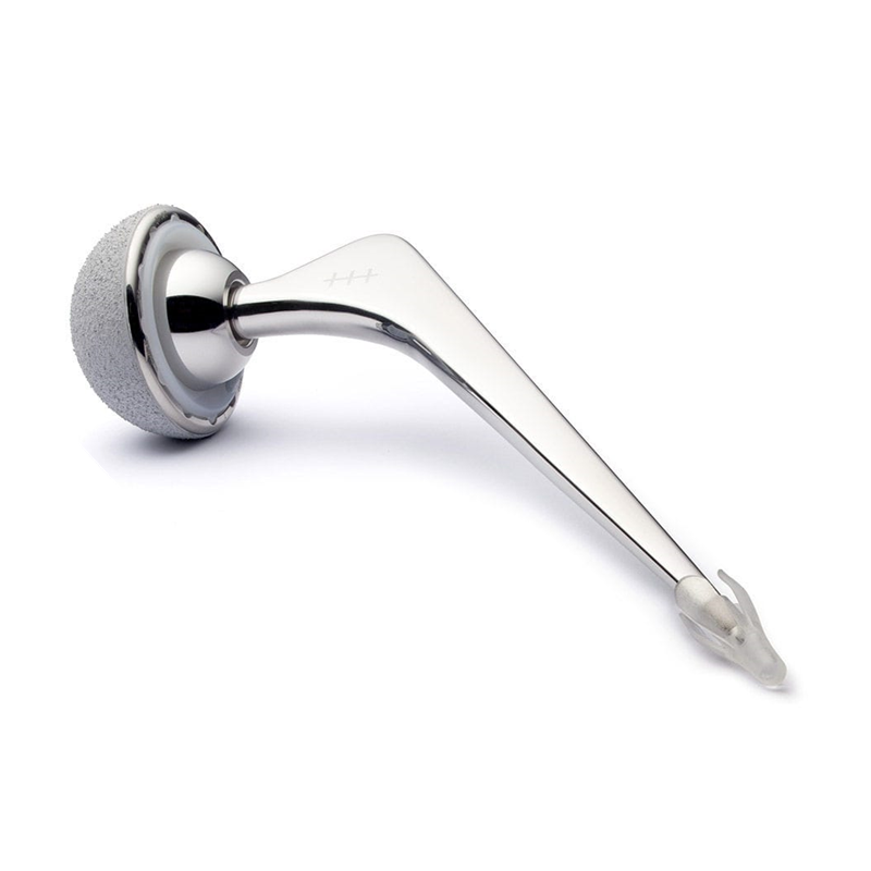 Système semi-hanche cimenté