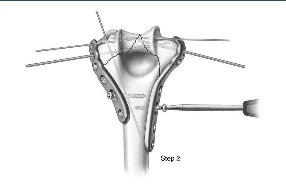微信图片_20220812171829