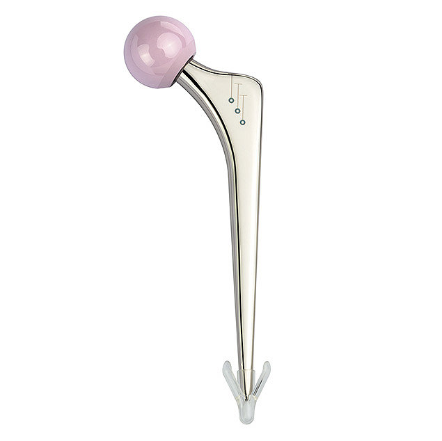 Système semi-hanche cimenté