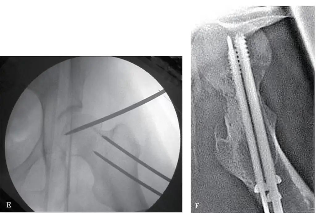 微信图片_20221208095011
