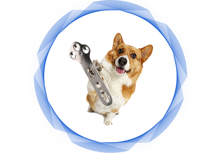 Orthopédie vétérinaire