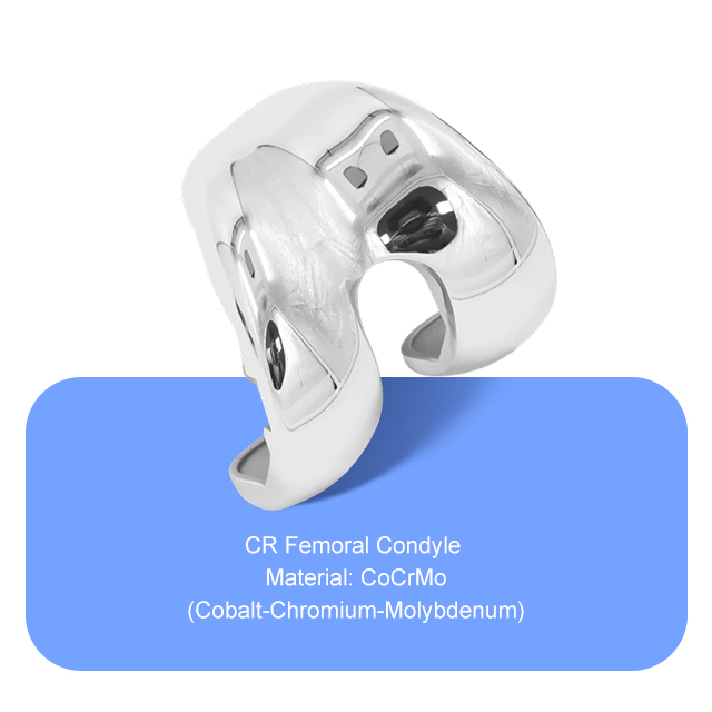 CR Conddyle fémoral