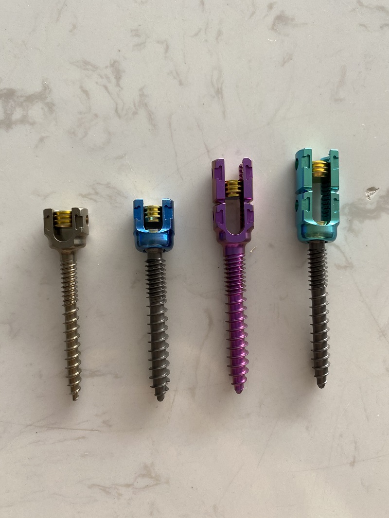 Vis vert&eacute;brale