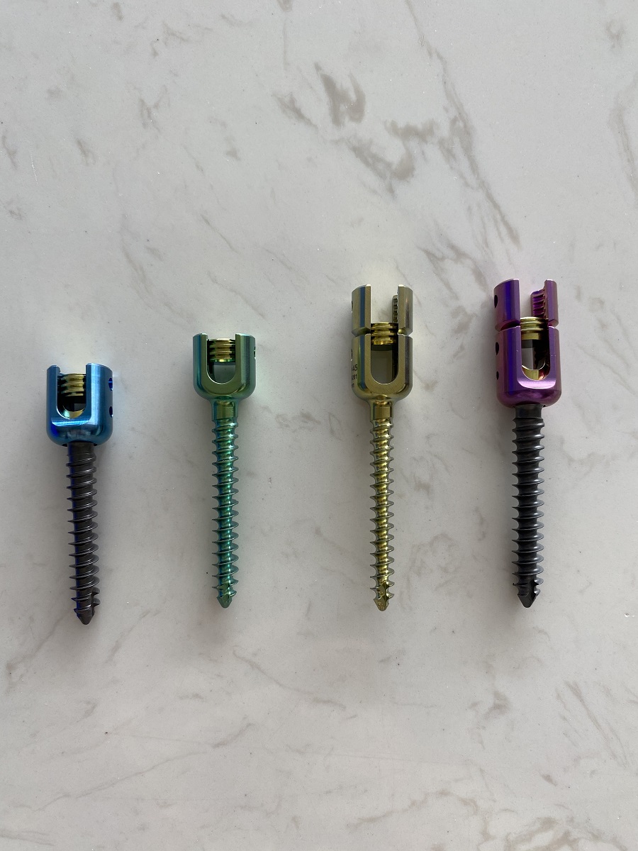 6.0 Vis vert&eacute;brale