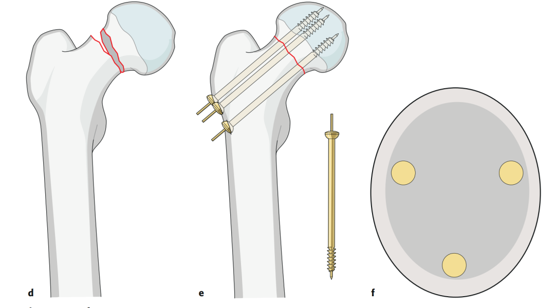 微信图片_20221205173632