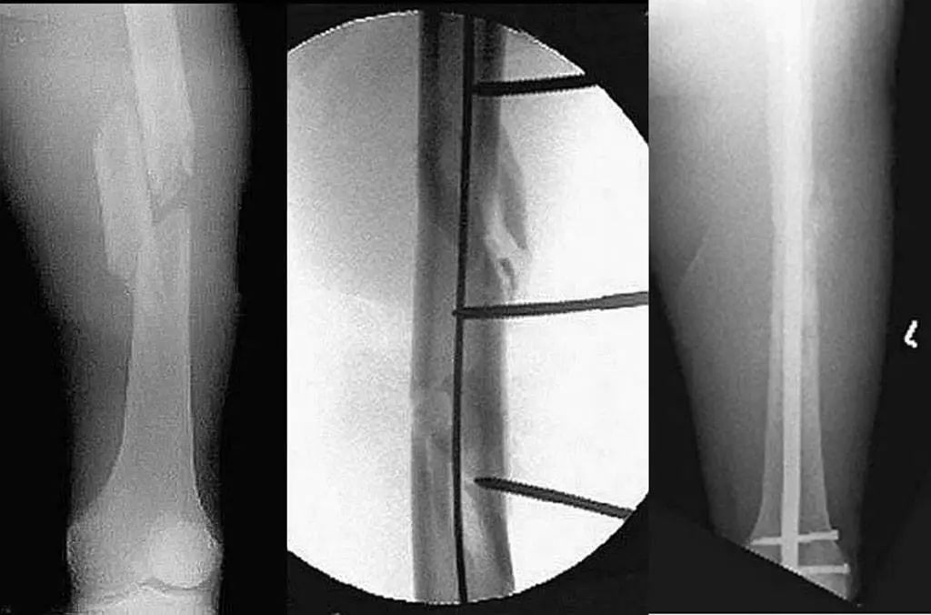 微信图片_20221208095941