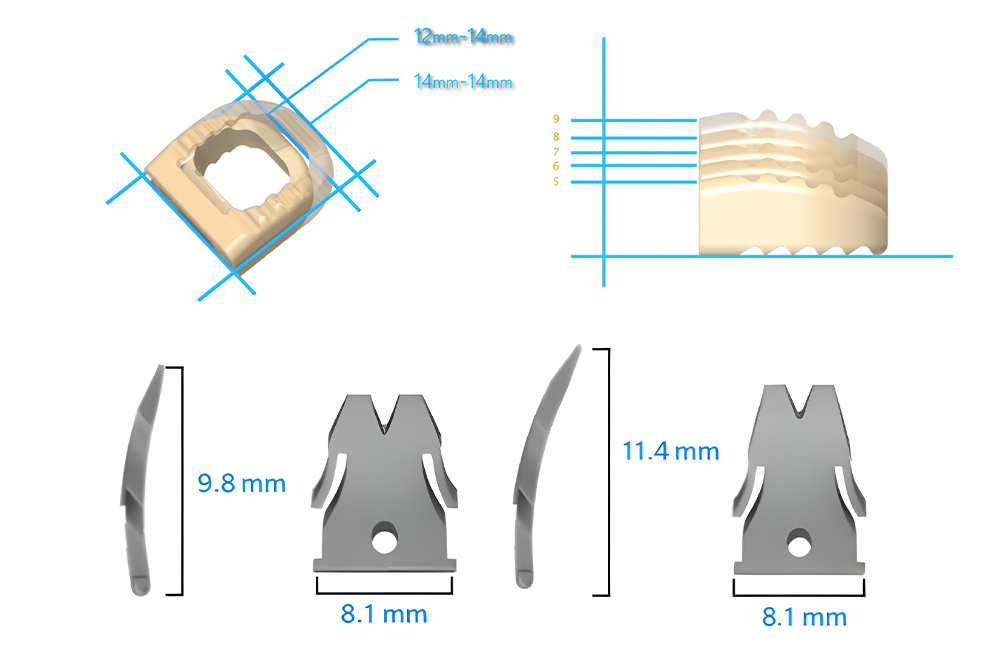 Dimensions de l
