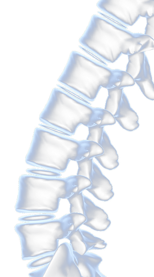 Illustration d&eacute;corative de la colonne cervicale
