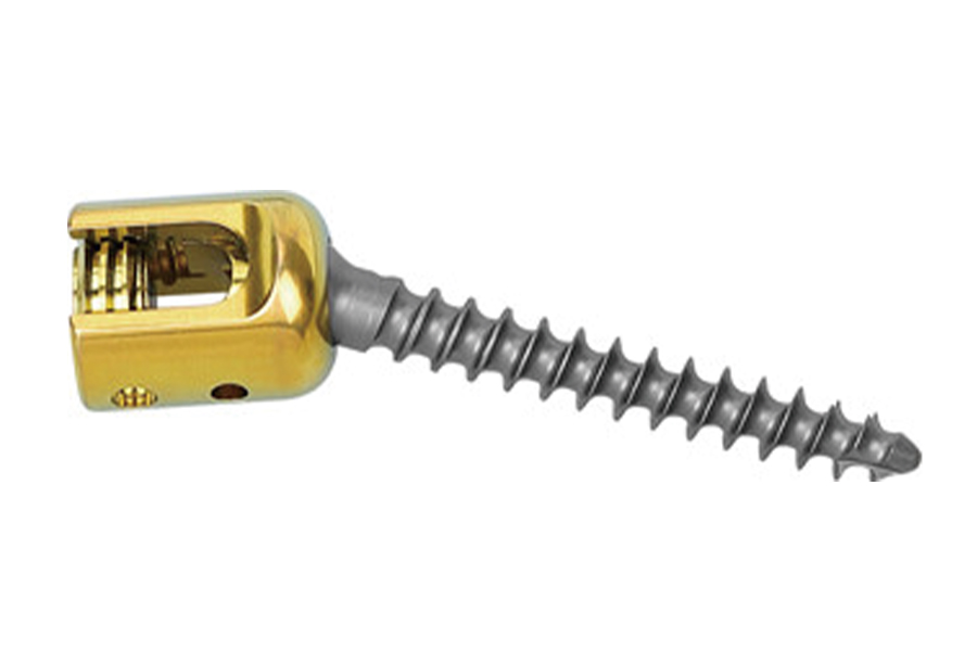 Vis p&eacute;diculaire polyaxiale de 6,0 mm 