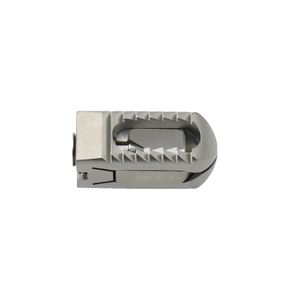 Cage lombaire postérieure extensible en titane